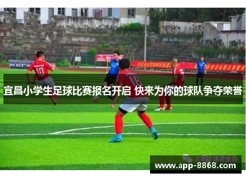 宜昌小学生足球比赛报名开启 快来为你的球队争夺荣誉